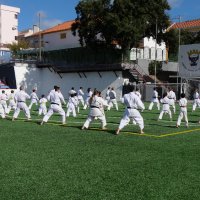 Iniciativa Nihon Budo Sai